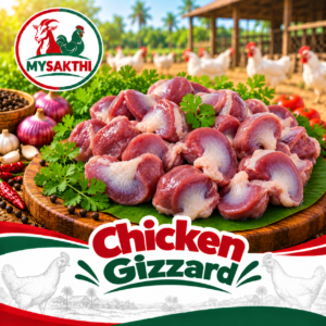 Chicken Gizzard